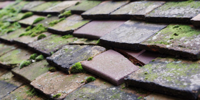 Bellingdon roof repair costs